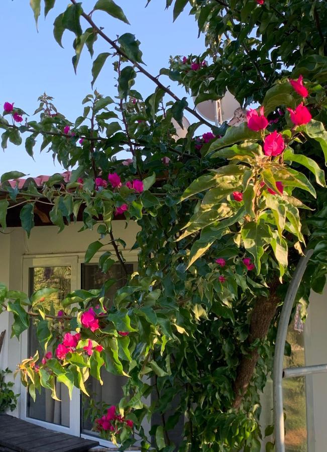 La Casa Di Mare Βίλα Άγιος Γόρδιος Εξωτερικό φωτογραφία